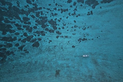 Oil spill in Mauritius: what really happened?