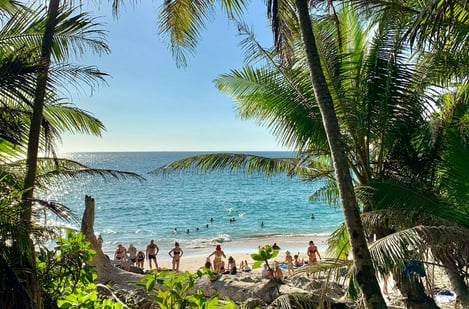 Winter in Mauritius: Top experiences for your holidays 