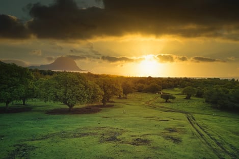The Mauritius Island: A Vibrant Melting Pot of Cultures and Ethnicities