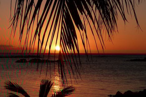 Sur la Plage de Belle Mare