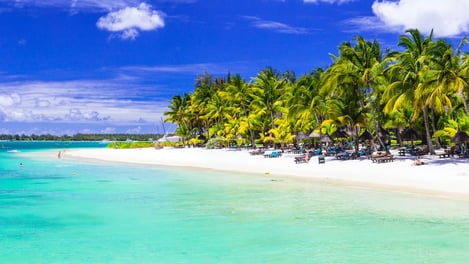 Plage de Trou-aux-Biches : Le spot de plongée du Nord de Maurice