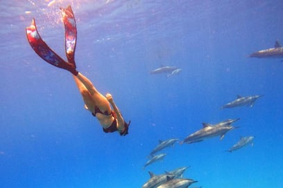 Family activities in the South of Mauritius