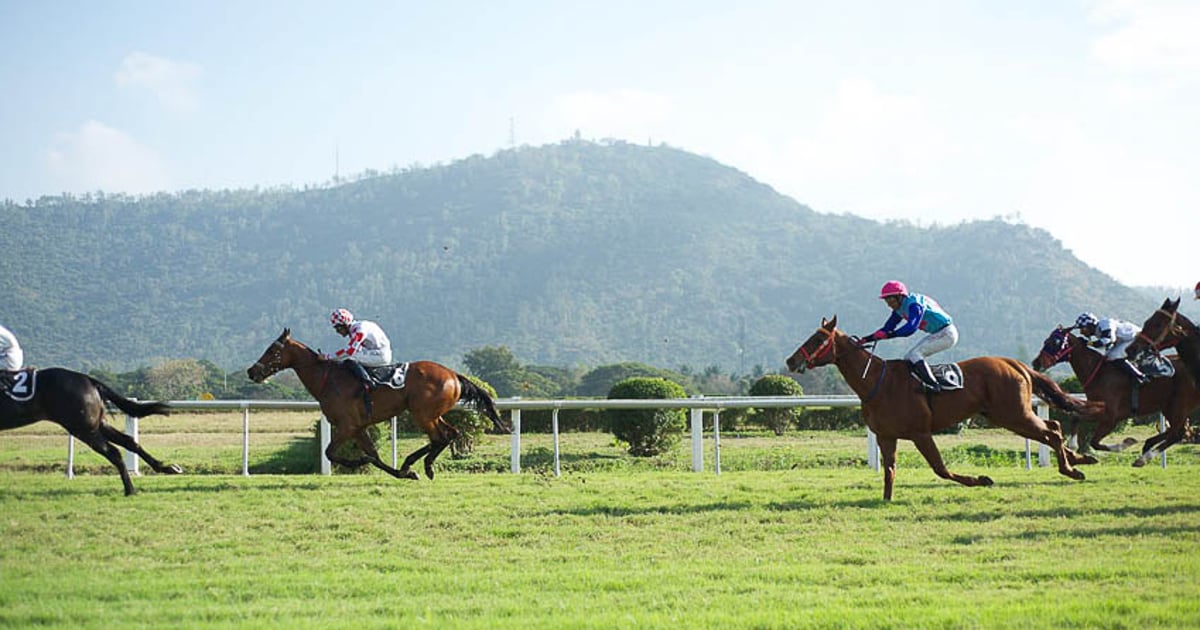 Horse Racing in Mauritius: the ‘Second-Oldest Racecourse in the World ...