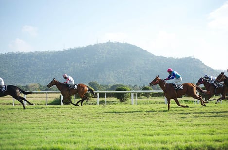 L'hippodrome du Champ de Mars : un lieu historique