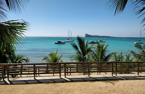 La richesse de la faune marine de l'île