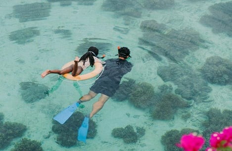 Plongée sous-marine ou snorkeling ? Choisissez vos activités