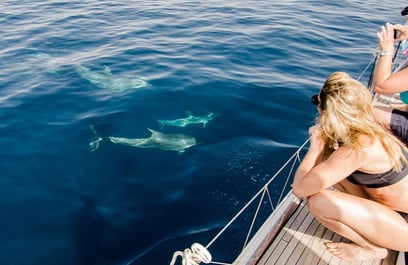 Unforgettable Experience in Mauritius: Swimming with Dolphins