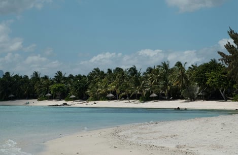 Beautiful places in Mauritius: Luxury of nature at Black River Gorges