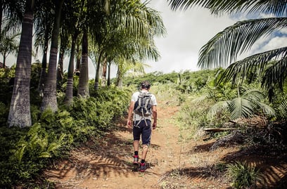 L'Île Maurice hors des sentiers battus