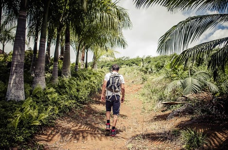 L'Île Maurice hors des sentiers battus