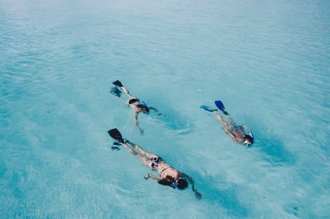 Le plus : l’activité originale, le Solar Sea Walk