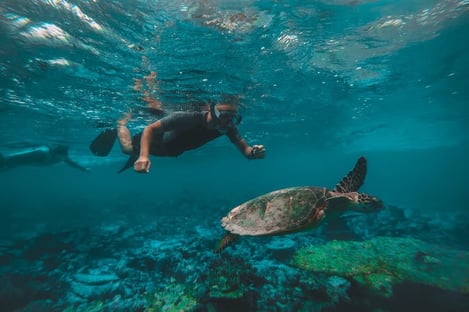 Les activités aquatiques : plongée, snorkeling, kitesurf, suf, wingsurf