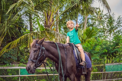 Une panoplie d’activités à découvrir