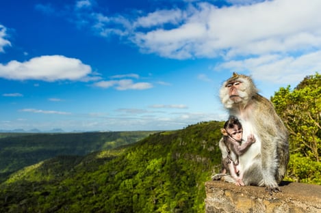 Un paradis pour les amoureux de nature