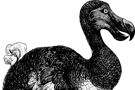 The famous extinct bird