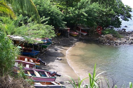 Petit tête-à-tête à Grand Baie