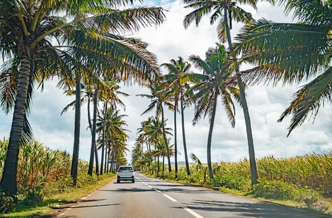 Taxi, bus o coche: ¿cuál es el mejor medio de transporte para desplazarse en Isla Mauricio?