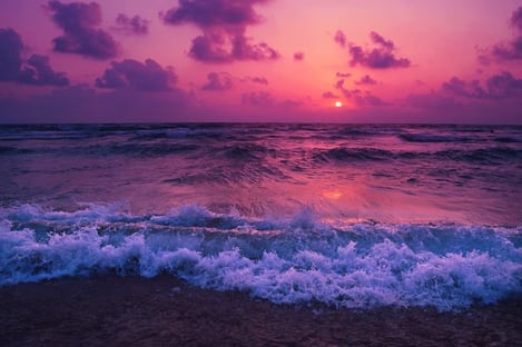 Une matinée à l'île Maurice