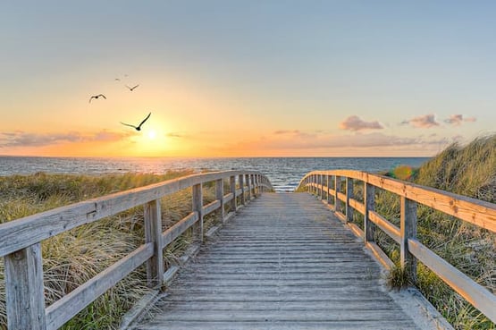 Villa rentals in Le Bois-Plage en Ré