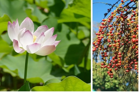 What you need to know for your trip