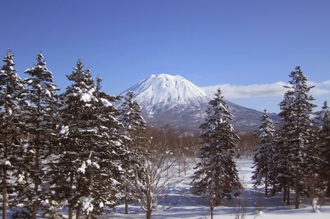 Japan, THE holiday destination of the year