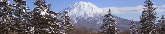 niseko