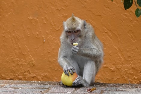 The Hindu wonders of the sacred lake of the Great Basin