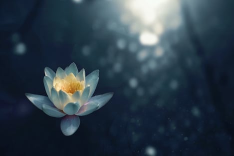 Les bienfaits du Reiki sont-ils réels ?