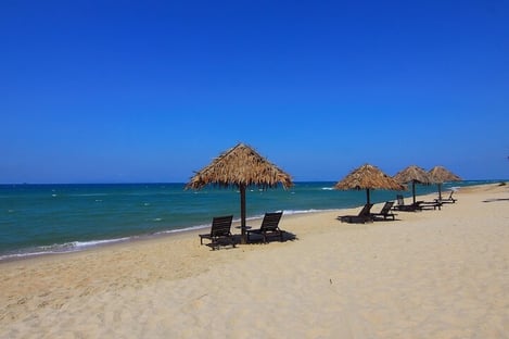 6. Planifiez les activités que vous allez faire