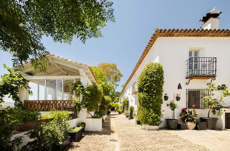 Andalousie : soleil d’automne, flamenco et saveurs locales