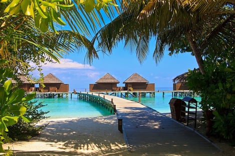 1. The Maldives