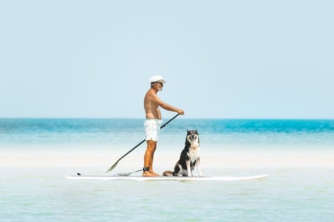 Activities to discover in summer or winter