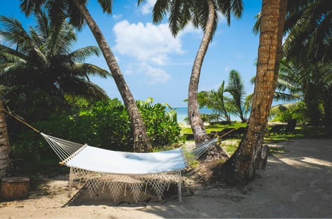 Mauritius vs the Seychelles: what is the difference?