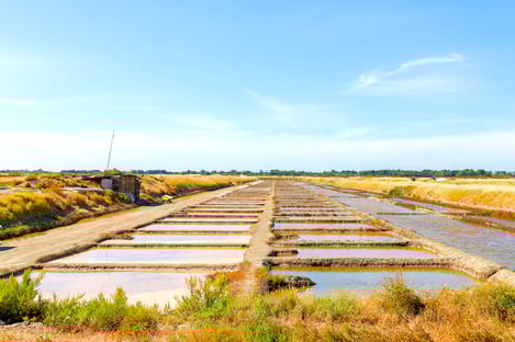 Des environnements naturels mais distincts