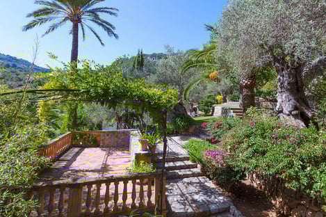 Thriving micro-wildernesses