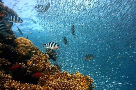 A visit to a marine nature park