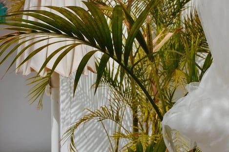 6- The quietness and peace reigning on the island