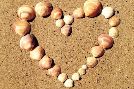 2- Un equipo de tamaño humano