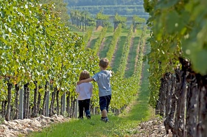 Ile de Ré & Nord du Portugal, l'idéal pour vos vacances en famille