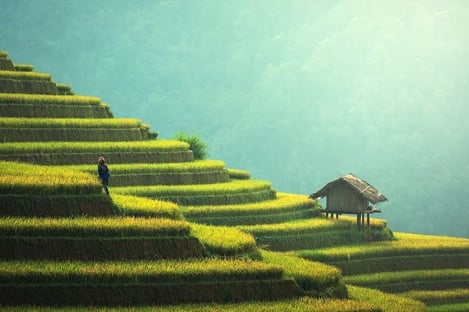 11- Bali, Indonésie - Mange, Prie, Aime