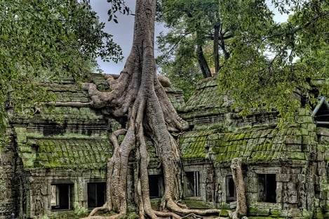 10- Siem Reap, Cambodge - Lara Croft: Tomb Raider