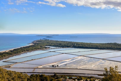 Todo lo que quieres saber sobre el parque natural de Ses Salines