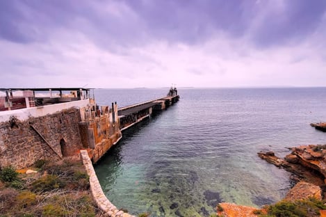 El más natural : el parque natural de Ses Salines