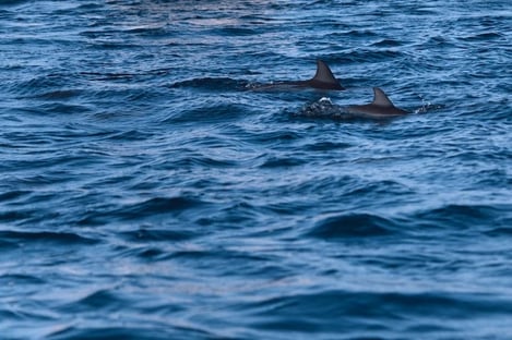 The West of Mauritius: the inviting lagoons of Flic en Flac