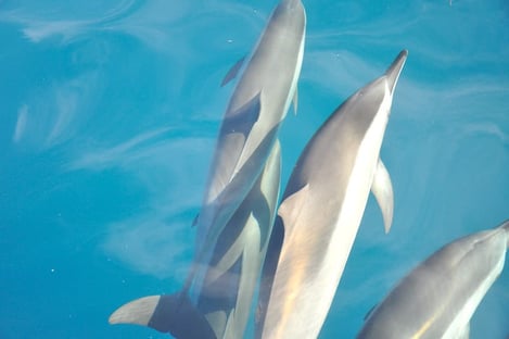 4- Pour tester de nouvelles expériences insolites avec votre moitié