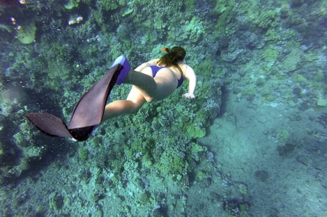 2- Pour explorer les fonds marins à deux