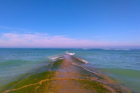 The unexpected beauty of the Ile de Ré