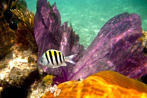 3- La Cueva de la Luz