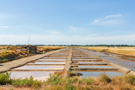 Une balade dans les marais salants
