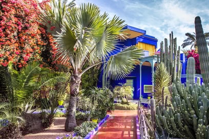 Une parenthèse envoûtante au Jardin Majorelle